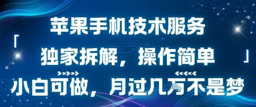苹果手机技术服务，独家拆解，操作简单，小白可做，月过1W不是梦-孔明聊项目
