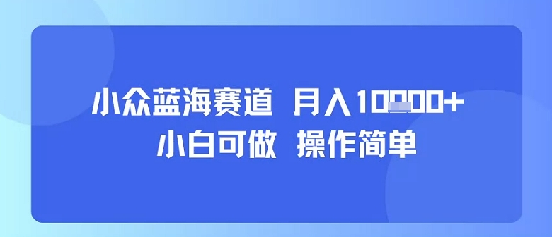 小众蓝海赛道，小白可做，操作简单，每天30分钟，月入1W+-孔明聊项目