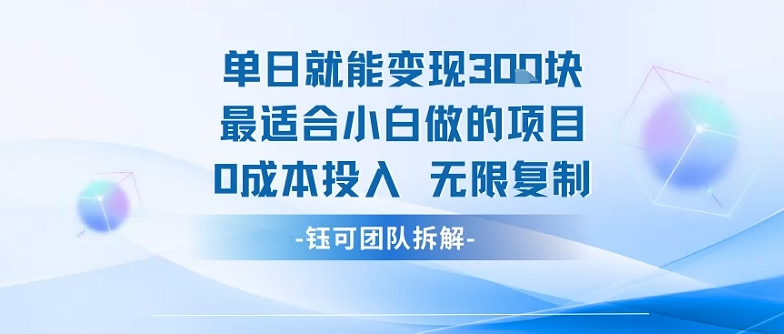 单日就能变现3张最适合小白做的项目0成本投入 无限复制-孔明聊项目