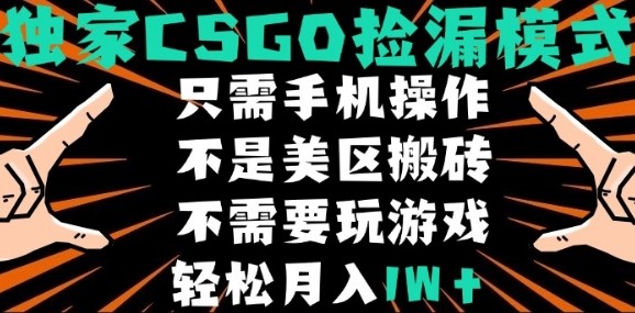 CSGO自动捡漏项目，最新独家玩法，不是美区搬砖，不需要了解和玩游戏，新手小白轻松月入1W+【揭秘】-孔明聊项目