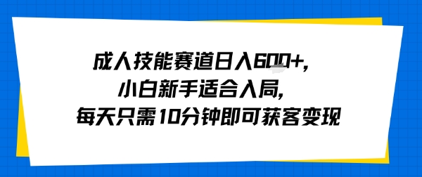 成人技能赛道日入多张，小白新手适合入局，每天只需10分钟即可获客变现-孔明聊项目