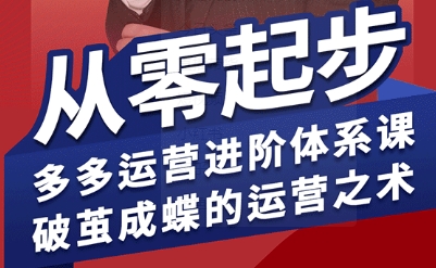 拼多多运营进阶系统课，从零起步，多多运营进阶体系课，破茧成蝶的运营之术-孔明聊项目