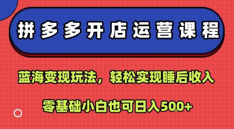 拼多多开店运营课程:蓝海变现玩法,轻松实现睡后收入,零基础小白也可日入5张-孔明聊项目