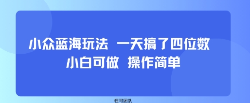 小众蓝海玩法 一天搞了四位数 小白可做 操作简单-孔明聊项目