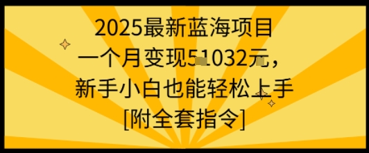 2025最新蓝海项目一个月变现1w+新手小白也能轻松上手【附全套指令】-孔明聊项目