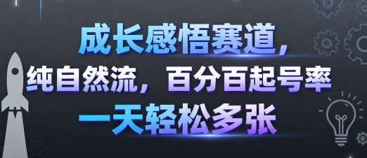 成长感悟赛道，纯自然流，百分百起号率 一天轻松多张-孔明聊项目