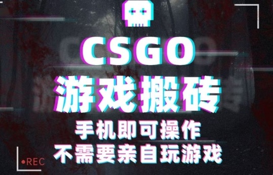 CSGO游戏挂G捡漏，单日扫货5张+，年底小高峰上车可吃肉，手机即可操作，兼职副业创业网创【揭秘】-孔明聊项目