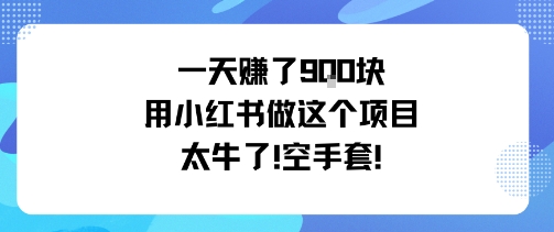 一天挣了9张用小红书做这个项目太牛了，空手套-孔明聊项目
