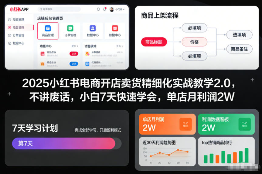 2025小红书电商开店卖货精细化实战教学2.0，不讲废话，小白7天快速学会，单店月利润2W-孔明聊项目