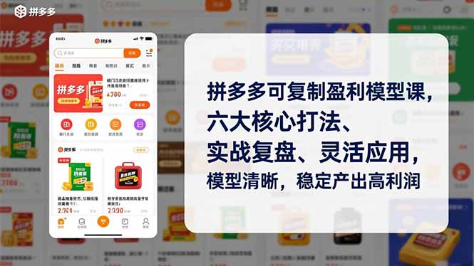 拼多多可复制盈利模型课，六大核心打法、实战复盘、灵活应用，模型清晰，稳定产出高利润-孔明聊项目