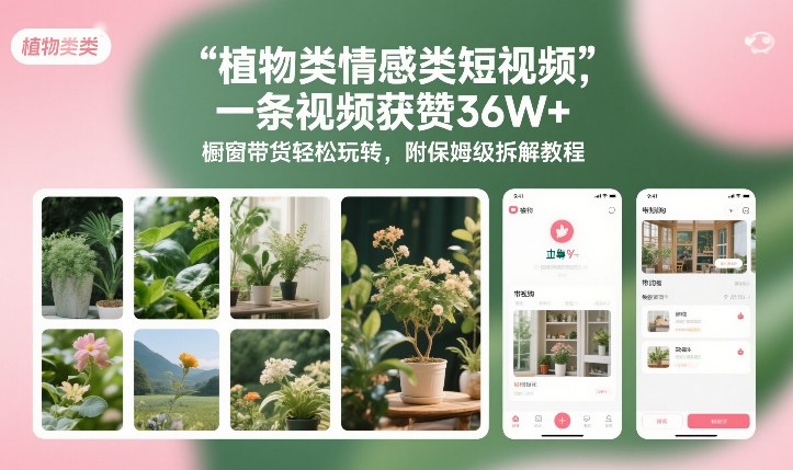 植物类情感类短视频，一条视频获赞36W+，橱窗带货轻松玩转，附保姆级拆解教程-孔明聊项目
