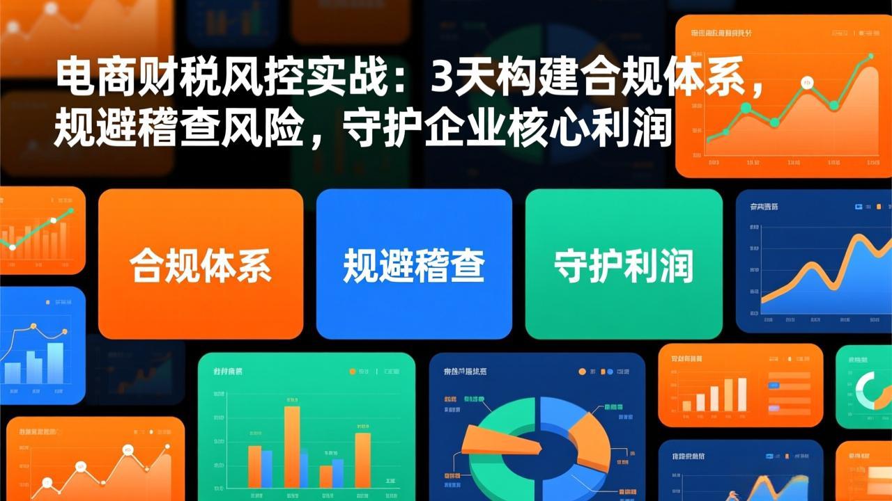 电商财税风控实战：3天构建合规体系，规避稽查风险，守护企业核心利润-孔明聊项目