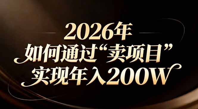 站在2026年的十字路口：一个普通人如何通过卖项目实现年入200万-孔明聊项目
