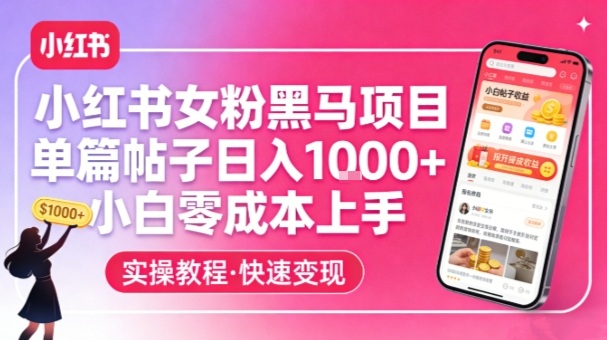 小红书女粉黑马项目，单篇帖子日入1k+，小白零成本上手-孔明聊项目
