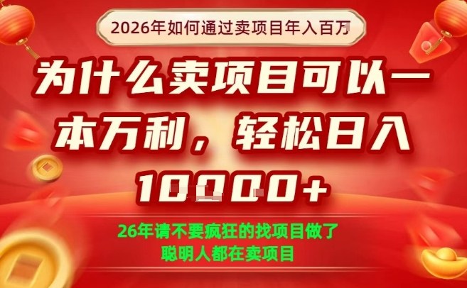 一单净利润1K+，26年想年入100个W，死磕卖项目就够了【揭秘】-孔明聊项目