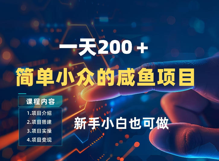 一天收入2张，一个简单小众的咸鱼项目，0门槛小白也能做-孔明聊项目