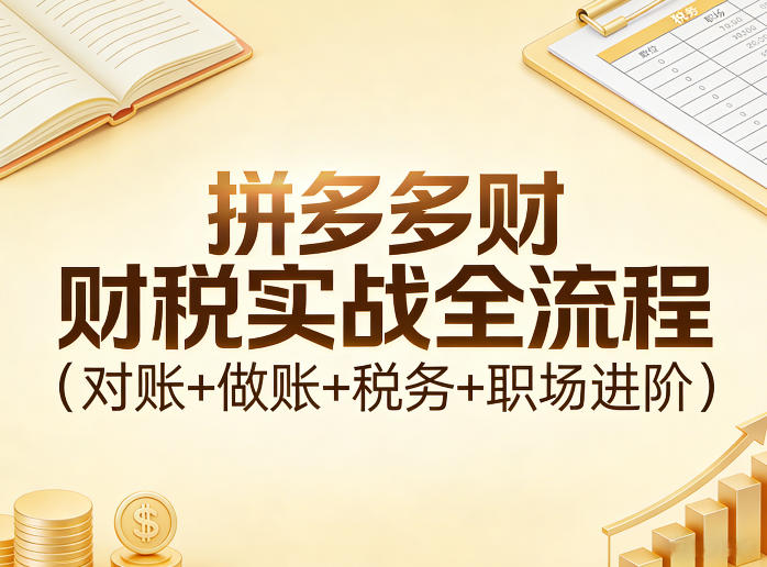 拼多多财税实战全流程(对账+做账+税务+职场进阶)-孔明聊项目