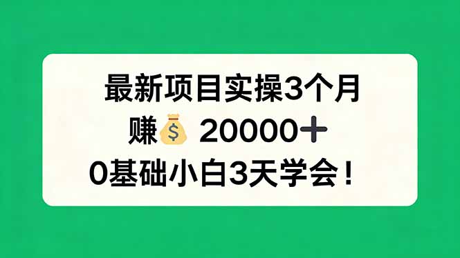 最新项目实操3个月，赚钱20000+，0基础小白3天学会！-孔明聊项目