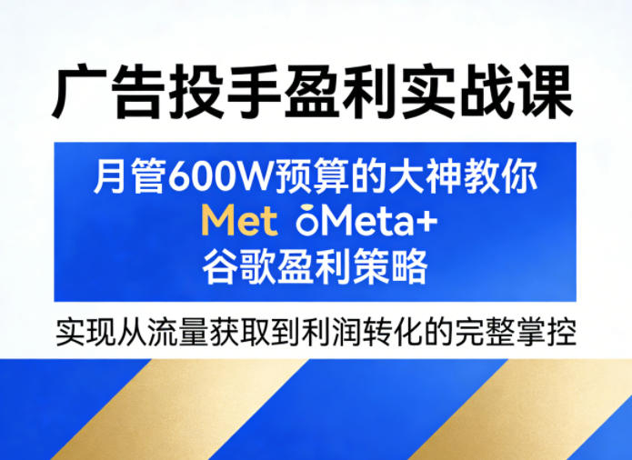 广告投手盈利实战课，月管600W预算的大神教你Meta+谷歌盈利策略，实现从流量获取到利润转化的完整掌控-孔明聊项目