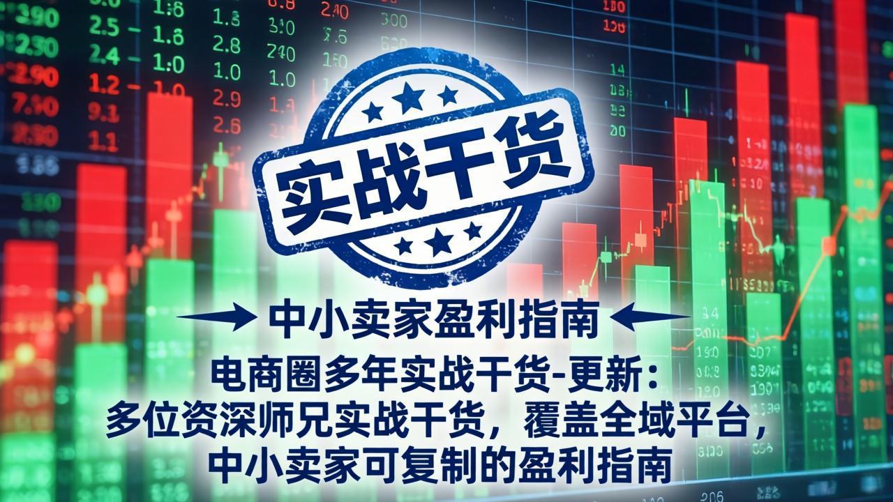 电商圈多年实战干货-更新4月27：多位资深师兄实战干货/覆盖全域平台，中小卖家可复制的盈利指南-孔明聊项目