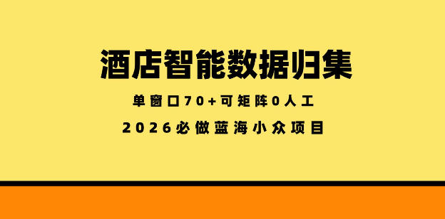 酒店智能数据归集，小众蓝海已经稳定半年之久，单窗口70+零成本矩阵开干【揭秘】-孔明聊项目