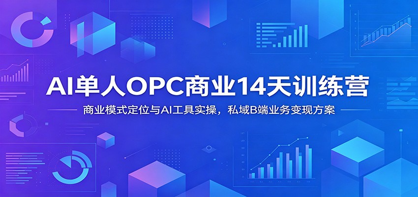 AI单人OPC商业14天训练营：商业模式定位与AI工具实操，私域B端业务变现方案-孔明聊项目