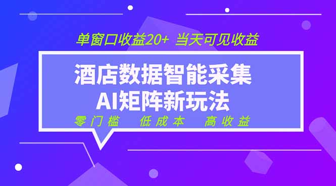 2026酒店数据采集ai智能矩阵新风口 低成本 高收益 当天见收益 单窗口20+-孔明聊项目