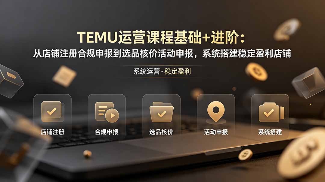 TEMU运营课程(基础+进阶-孔明聊项目