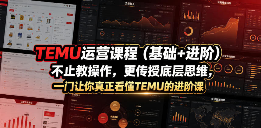 TEMU运营课程(基础+进阶)，不止教操作，更传授底层思维，一门让你真正看懂TEMU的进阶课-孔明聊项目