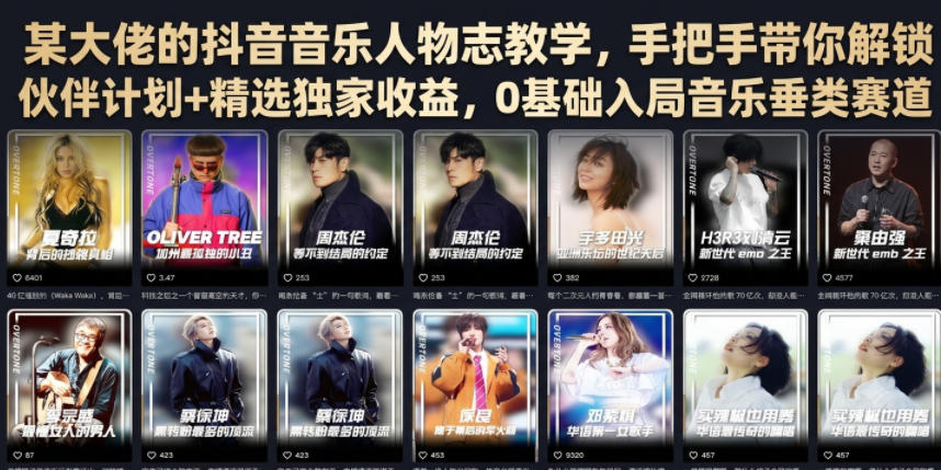 某大佬的抖音音乐人物志教学，手把手带你解锁伙伴计划+精选独家收益，0基础入局音乐垂类赛道-孔明聊项目