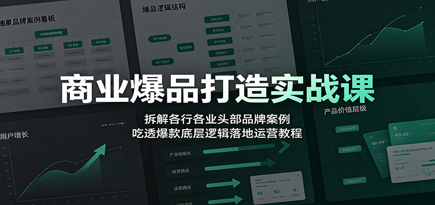 商业爆品打造实战课：拆解各行各业头部品牌案例，吃透爆款底层逻辑落地运营教程-孔明聊项目