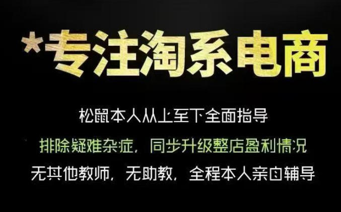 松鼠会电商VIP课程，从基础布局到高阶优化，助你掌握淘宝运营逻辑，提升店铺流量与转化(更新0809)-孔明聊项目