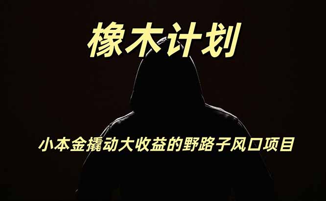 橡木计划，小投入撬动高回报的风口野路子项目，一天投入2小时左右-孔明聊项目
