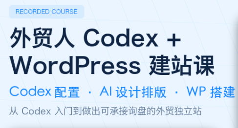 大卫·外贸人Codex + WordPress建站课(更新8月)-孔明聊项目