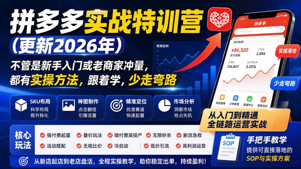 拼多多实战特训营(更新26年0822-孔明聊项目