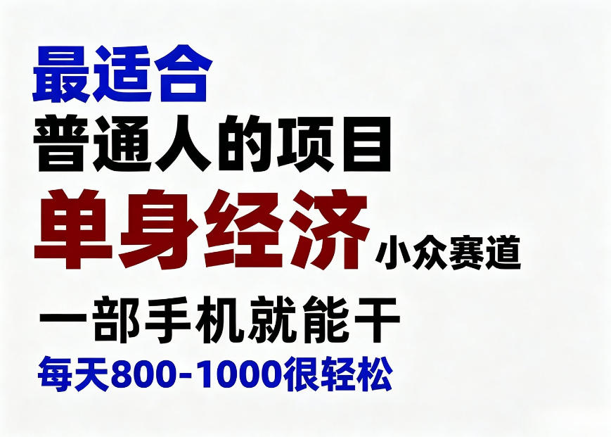 身经济小众赛道，一部手机就能干，每天搞个800-1000很轻松，最适合普通人的项目【揭秘】-孔明聊项目