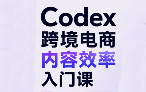 Codex跨境电商内容效率入门课-孔明聊项目