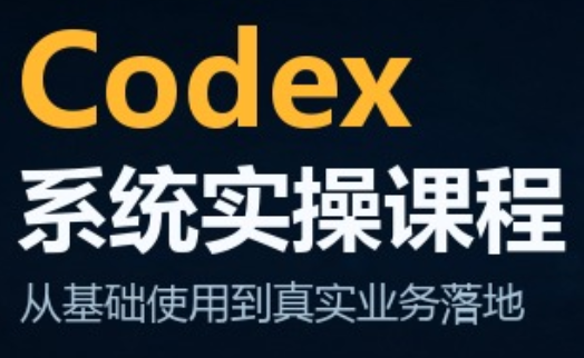 codex系统实操课程(更新10月)-孔明聊项目