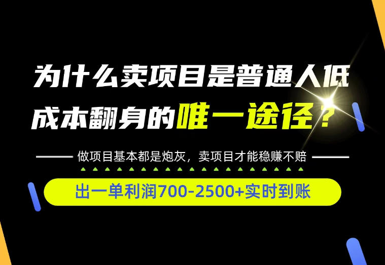 普通人如何靠互联网賺取自己的第一桶金！全类目实操型教学，看完你全都懂了！【揭秘】-孔明聊项目