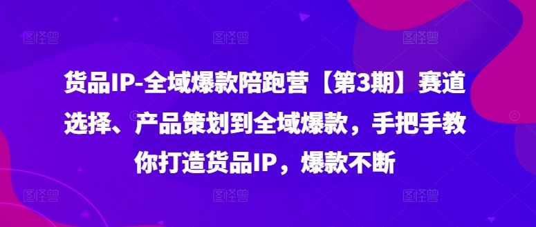货品IP全域爆款陪跑营【第3期】赛道选择、产品策划到全域爆款，手把手教你打造货品IP，爆款不断-孔明聊项目