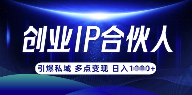 云帆·创业ip合伙人打造3.0,从0到1教你做网创,实现月入过W-孔明聊项目
