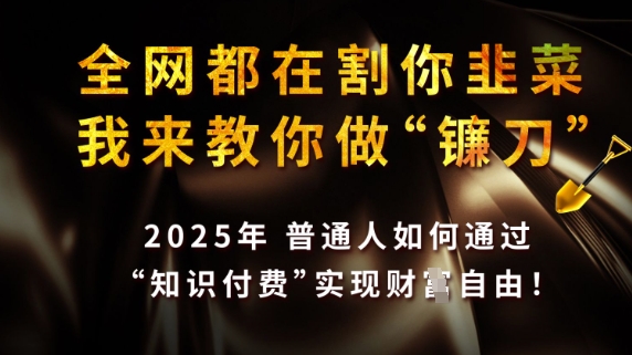 全网都在割你韭菜，我来教你做镰刀，2025普通人如何通过知识付费，实现财F自由【揭秘】-孔明聊项目