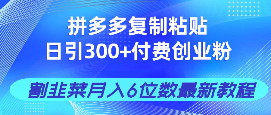 拼多多复制粘贴日引300+付费创业粉，割韭菜月入6位数最新教程！-孔明聊项目