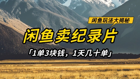 闲鱼卖纪录片1单3块钱，1天几十单，项目稳定有潜力-孔明聊项目