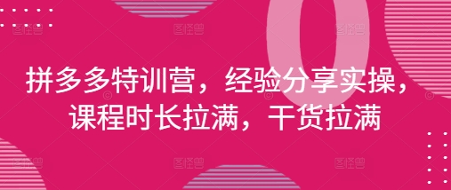 拼多多特训营,经验分享实操,课程时长拉满,干货拉满(更新25年4月)-孔明聊项目