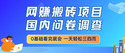 网创搬砖项目,国内问卷调查,小白轻松上手,一天三四张的也不难,干就完了【揭秘】-孔明聊项目