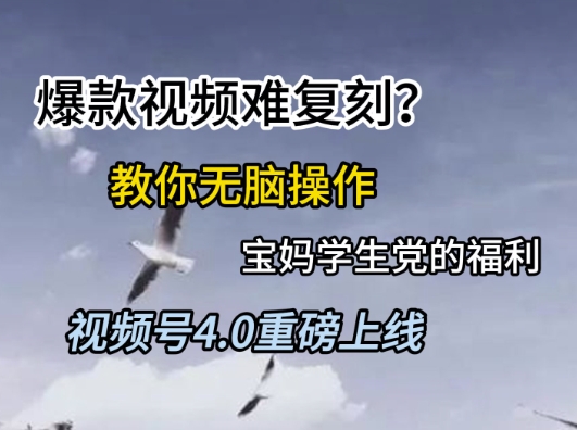 视频号4.0重磅上线,爆款视频难复刻?教你无脑操作宝妈学生党的福利【揭秘】-孔明聊项目