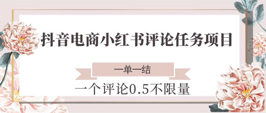 抖音电商小红书评论任务项目，一个评论0.5，一单一结 不限量-孔明聊项目