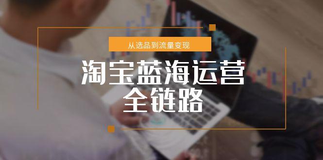 淘宝蓝海运营全链路，从选品到流量变现，小类目突围完整方案-孔明聊项目