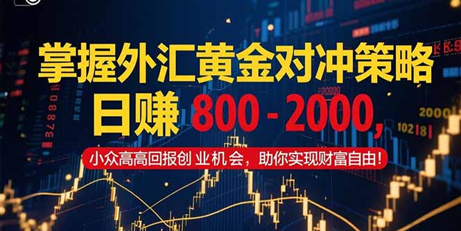 掌握外汇黄金对冲策略，日赚 800 – 2000，小众高回报创业机会，助你实…-孔明聊项目